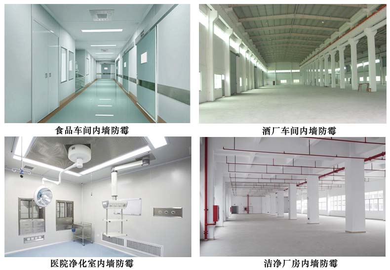 9512水性防霉涂料 9512水性防霉涂料